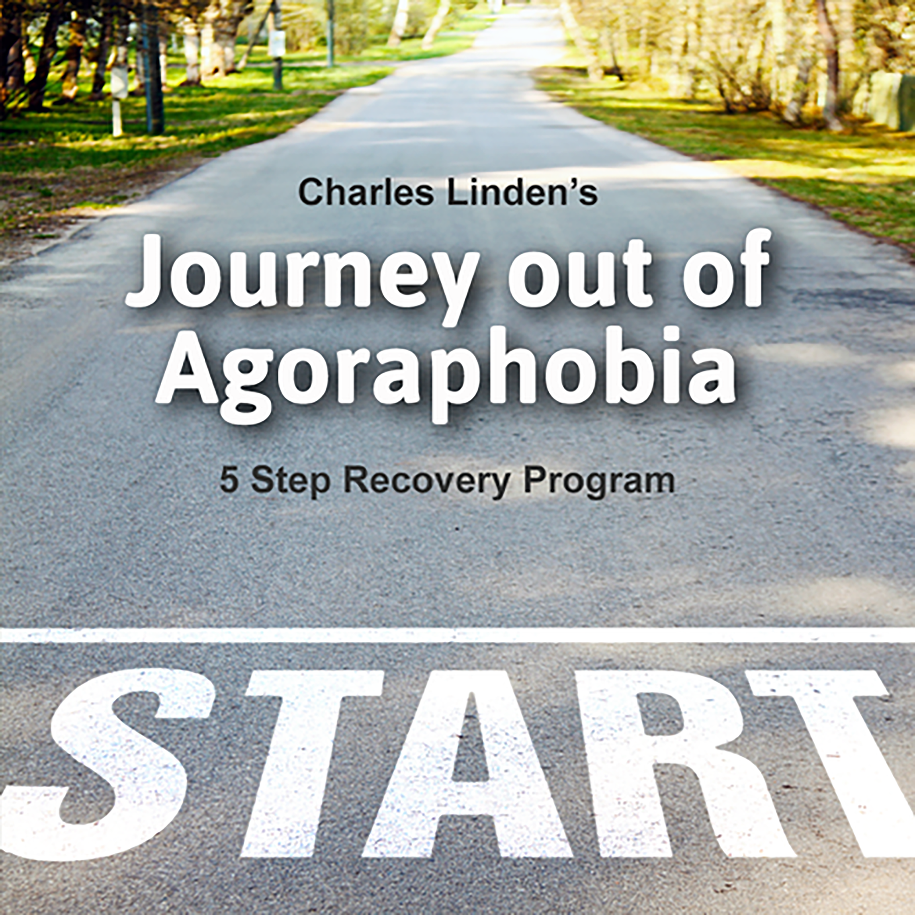 Journey out of Agoraphobia